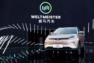 威馬收購汽車租賃公司，布局出行領域的三駕馬車