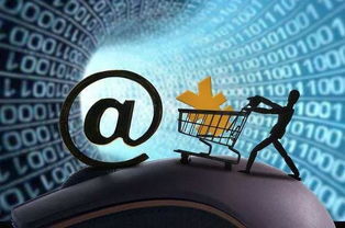 互聯(lián)網(wǎng)保險(xiǎn)的下半場 數(shù)據(jù)服務(wù)驅(qū)動(dòng)的新增長路徑